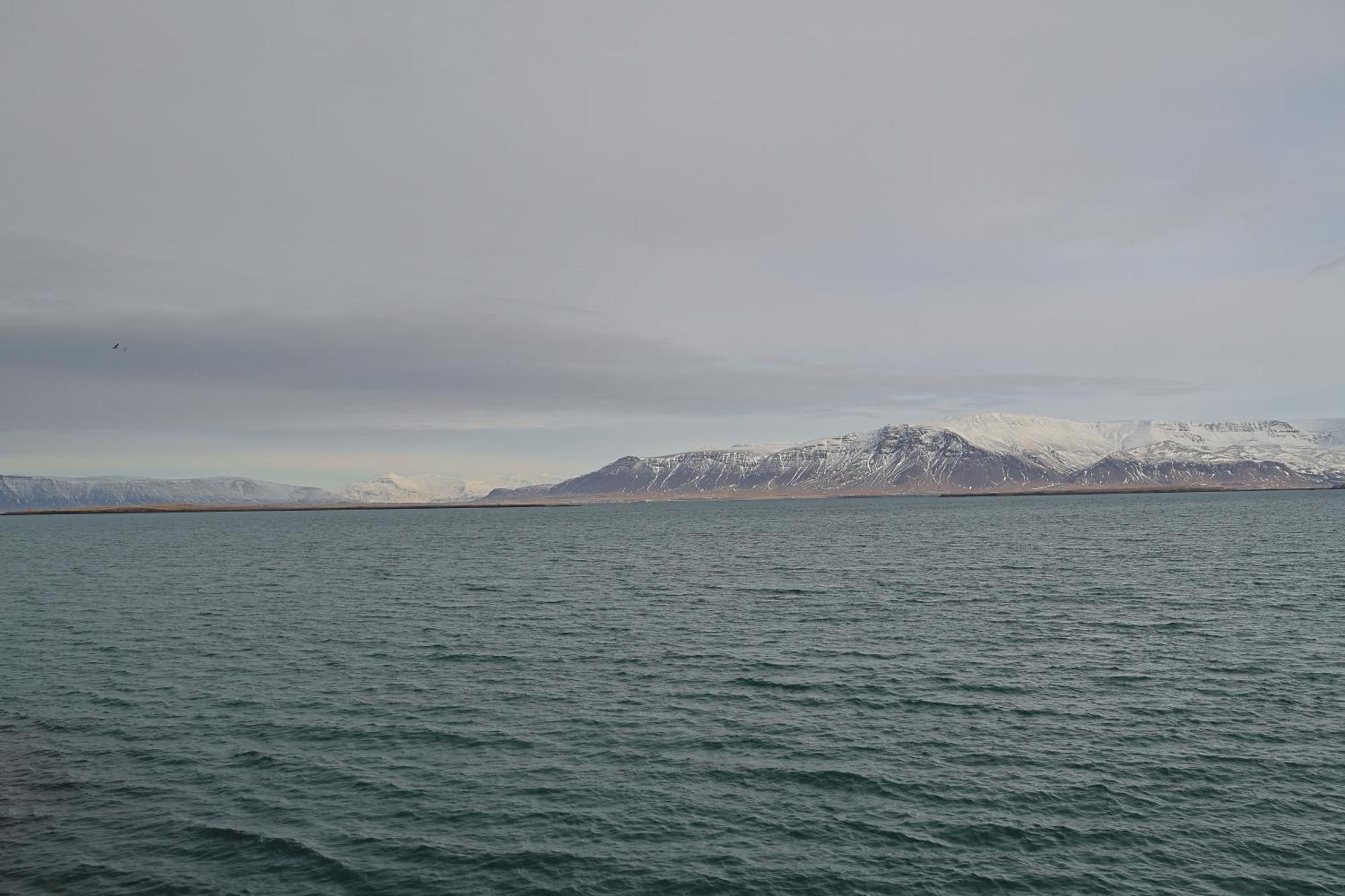 Ragna'S Apartment Downtown. Reykjavik Luaran gambar